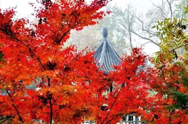 南京 栖霞山 栖霞寺